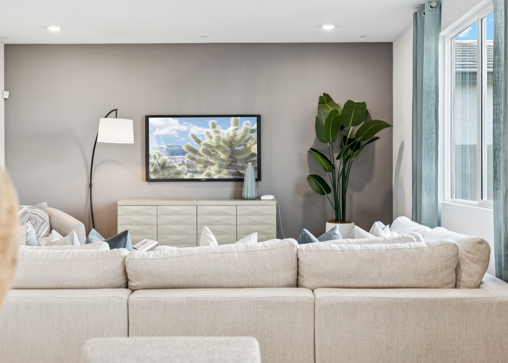 A living room with a couch and a plant.