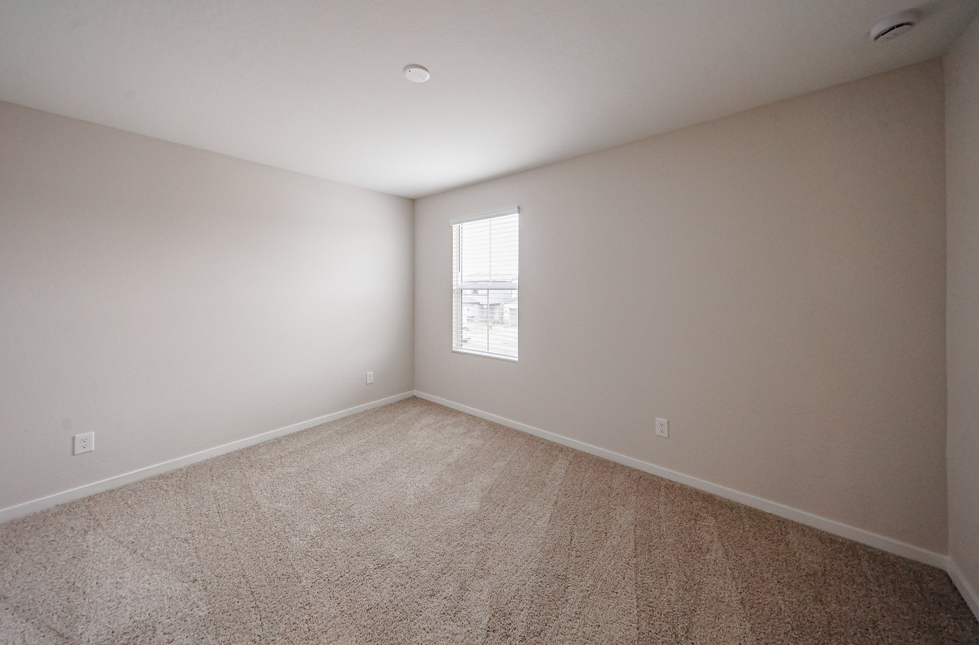 A room with a carpet and a window.