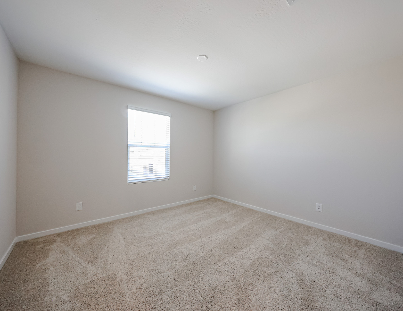 A room with a carpet and a window.