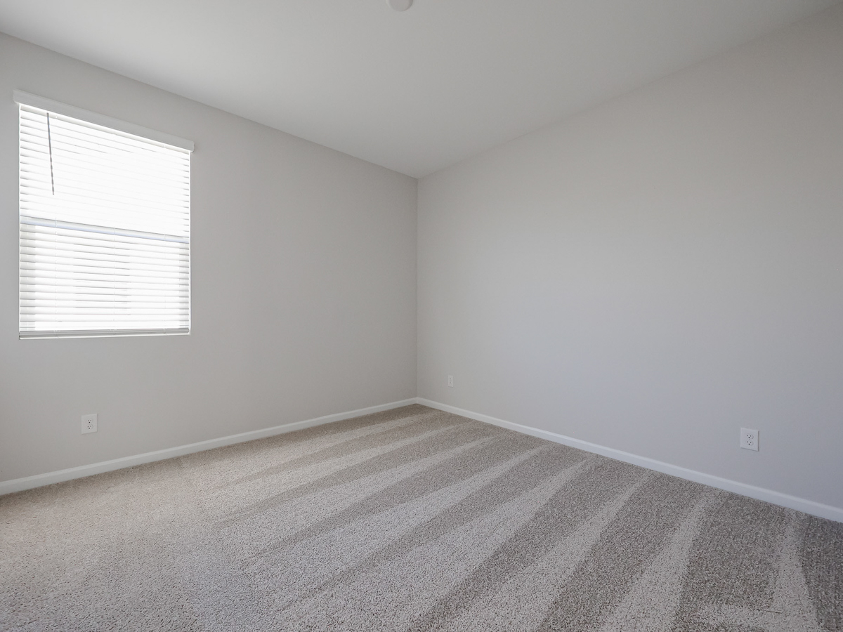 A room with a carpet and windows.