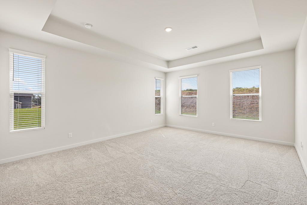 A room with a carpet and windows.
