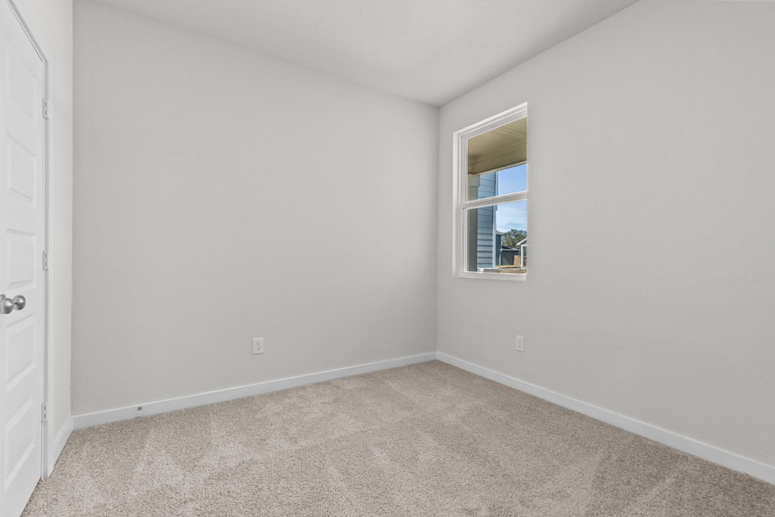 A room with a carpet and a window.