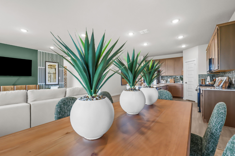 A living room with a white couch and a white table with a plant in it.